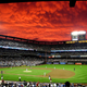Illustration for article titled Why Your Stadium Sucks: Citi Field